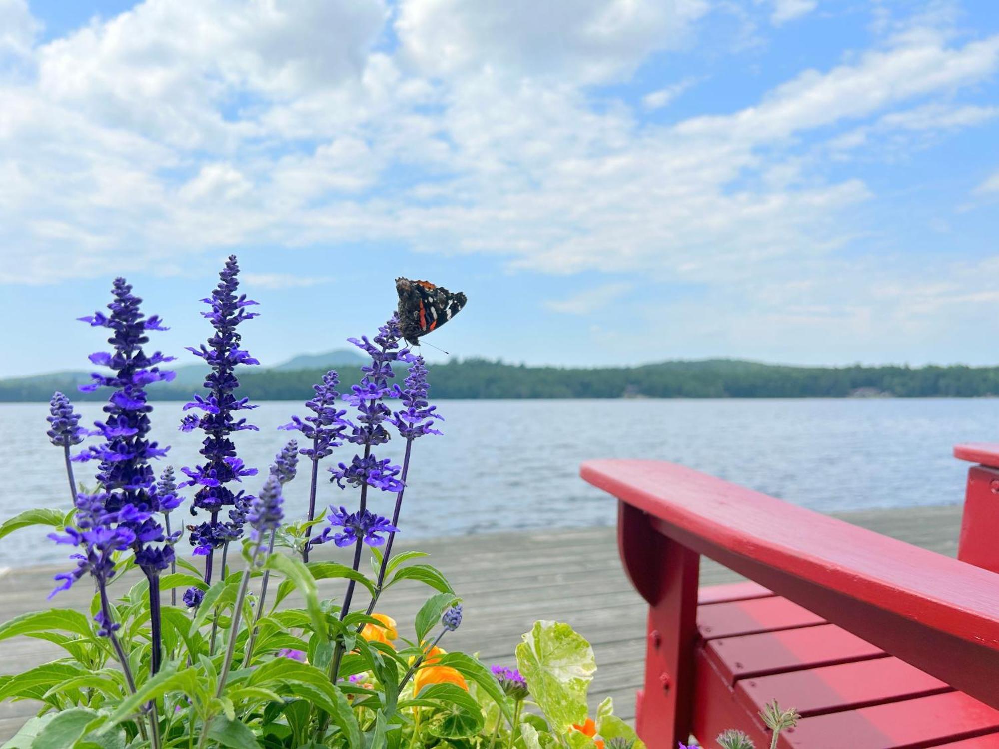 Paddler'S Rest Lakeside Cabins And Motel Long Lake 외부 사진